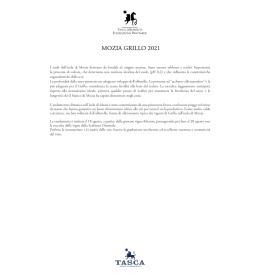 Scheda Mozia Grillo