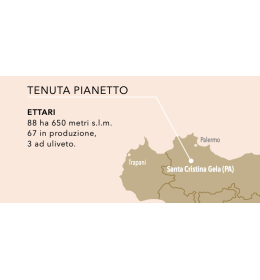 Tenuta Pianetto